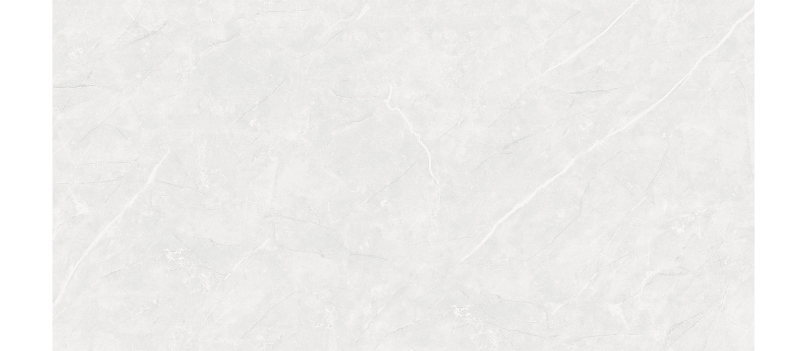 WM 37116