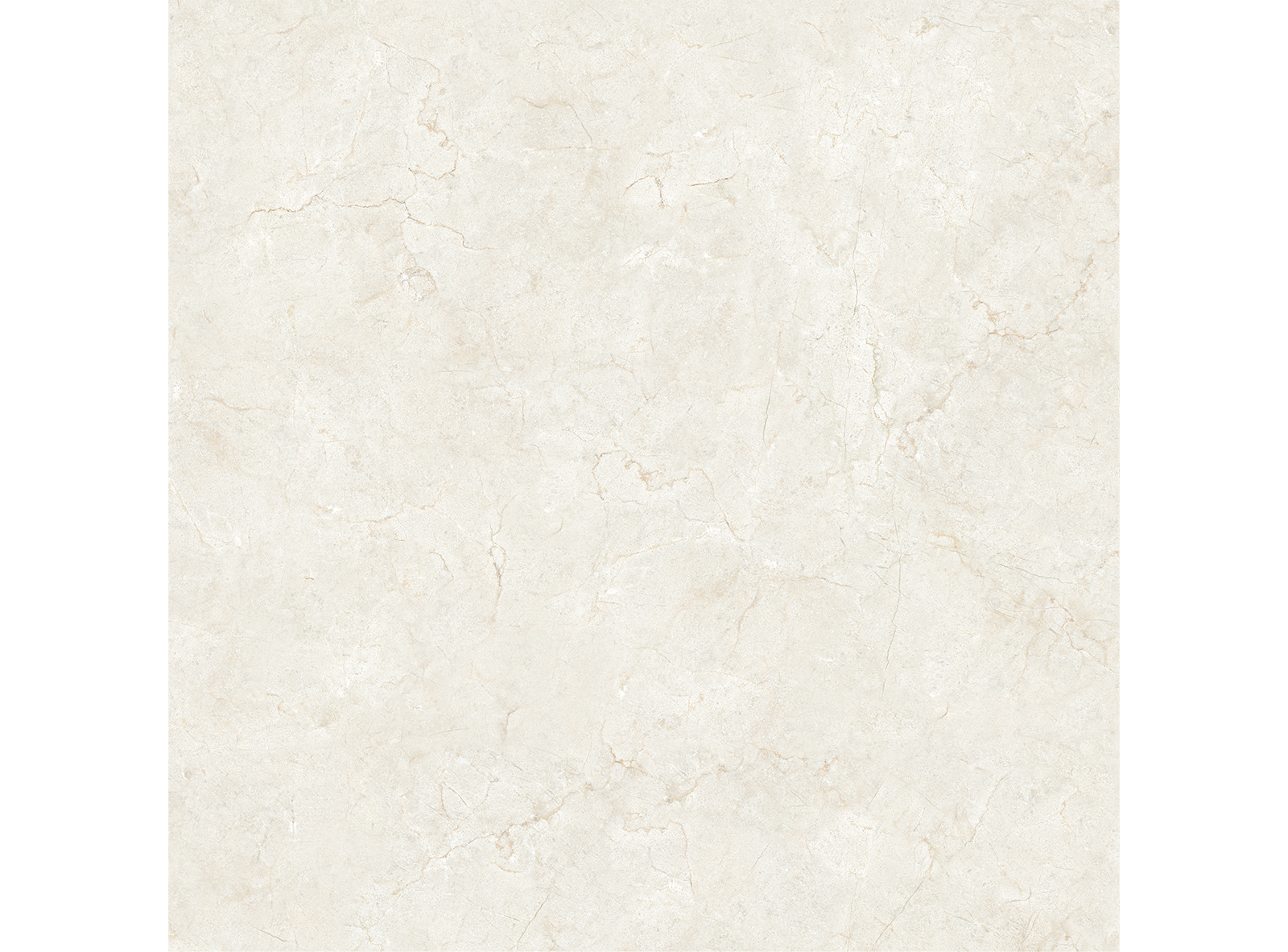 PE 유폴 CK 6194G