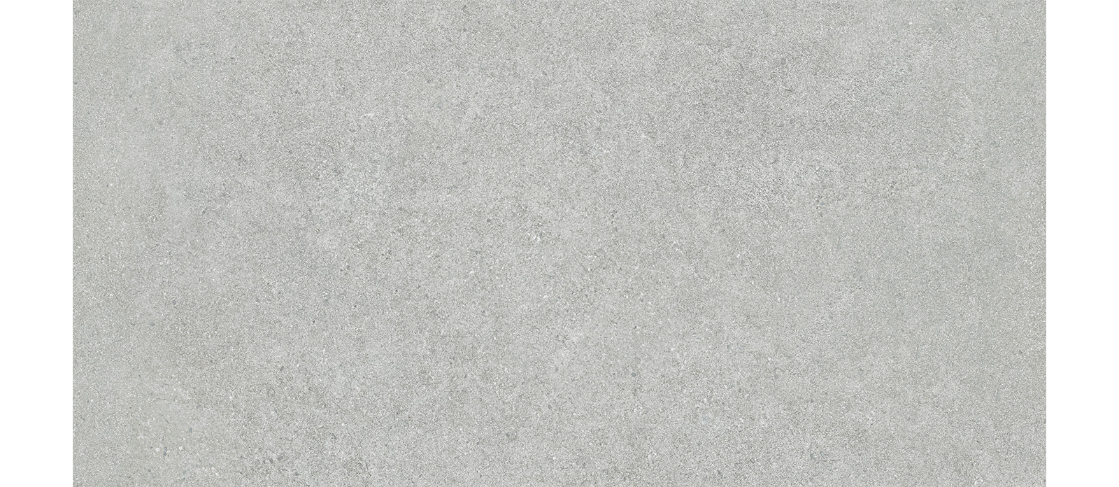 WM 36064M