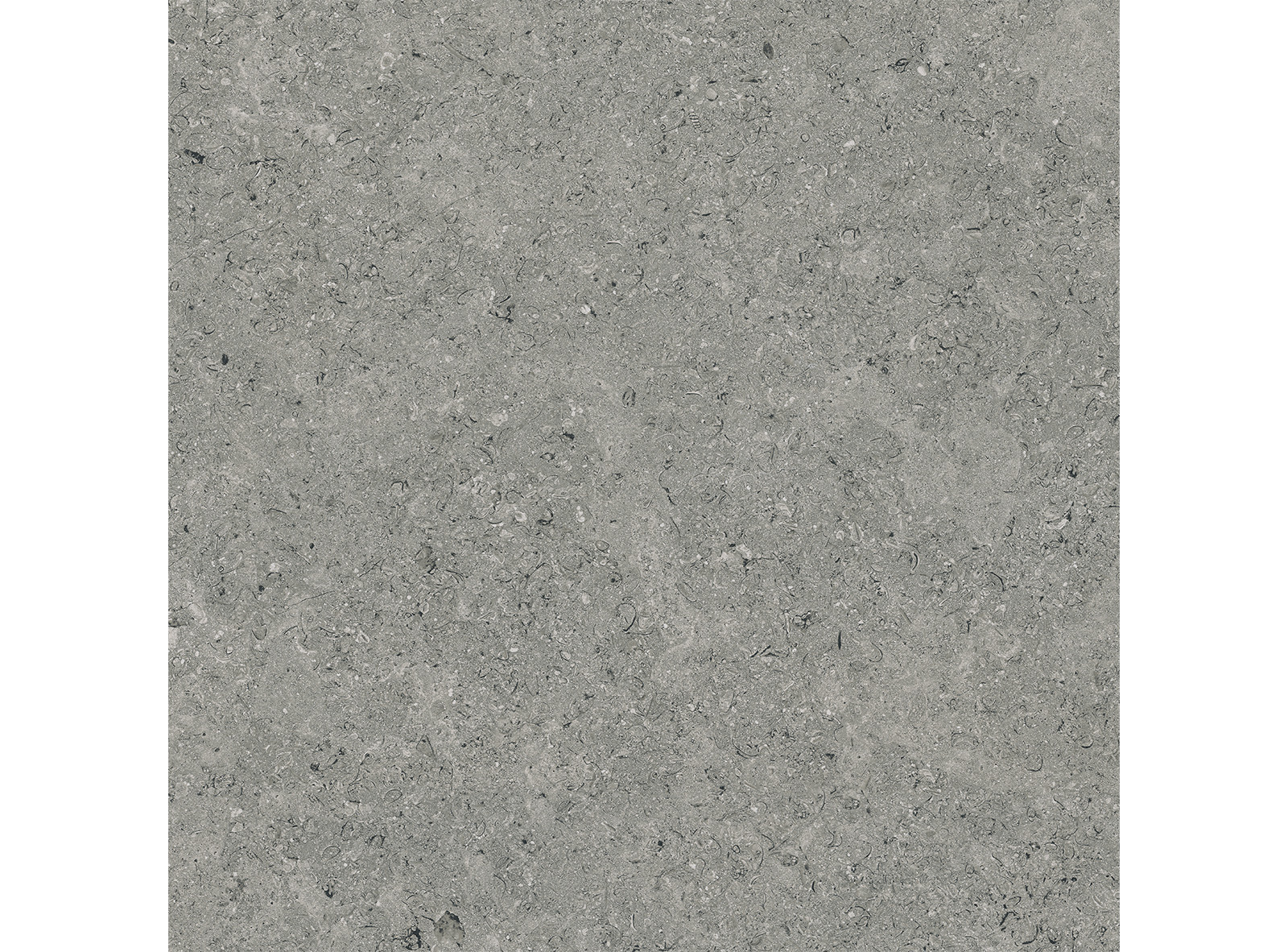 PE 20T 60758M SHELL STONE GR 쉘스톤 GR